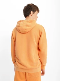 Худі та світшоти Vans Comfycush Wash модель VN0A7YCDZT31 Фото