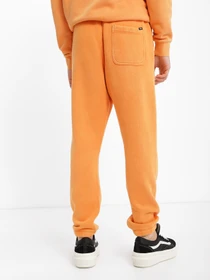 Брюки Vans ComfyCush Washed модель VN0A7YCEZT31 Фото