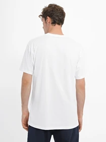 Футболки и поло Vans Left Chest Logo Ii Ss модель VN0A7TLGWHT1 Фото