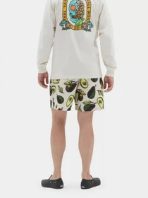 Одежда для пляжа Vans Primary Print Elastic модель VN0008KUZHJ1 Фото