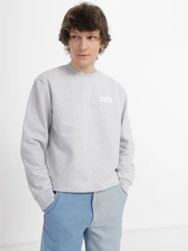 Худи и свитшоты Vans Relaxed Fit Crew модель VN0007FP1QI1 Фото