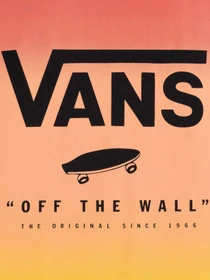 Футболки и поло Vans Classic Print Box модель VN0A5E7YZ0T1 Фото