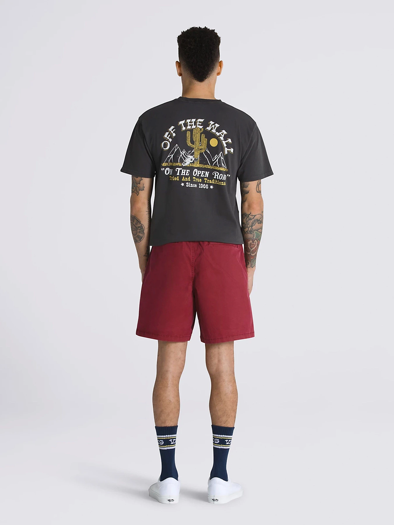 Шорты Vans Range Salt Wash Relaxed Elastic модель VN0A5FKCBQS1 Шорты Vans Range Salt Wash Relaxed Elastic модель VN0A5FKCBQS1 Фото