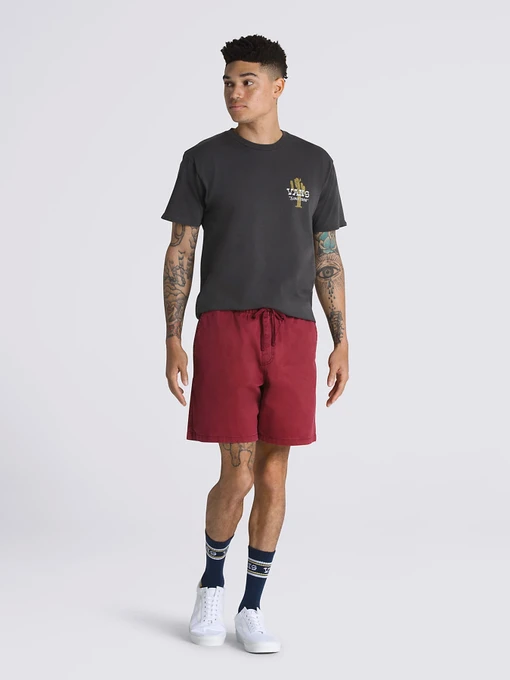 Шорты Vans Range Salt Wash Relaxed Elastic модель VN0A5FKCBQS1 Фото