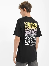Футболки и поло Vans Doom Volcano модель VN0008SHBLK1 Фото