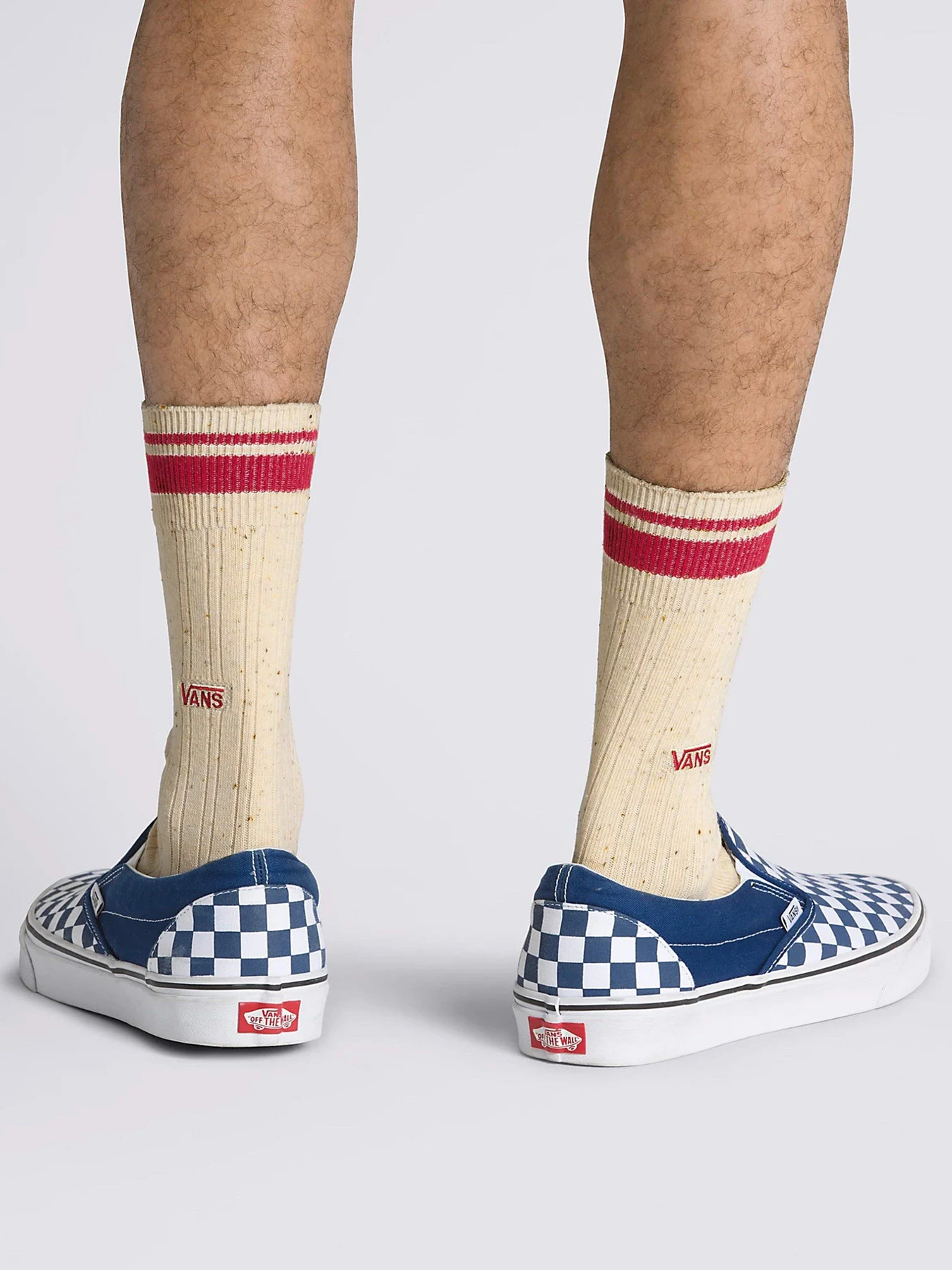 Шкарпетки та гольфи Vans Classic Crew модель VN0008NM3KS1 Фото