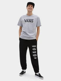 Футболки и поло Vans Classic модель VN000GGGATJ1 Фото