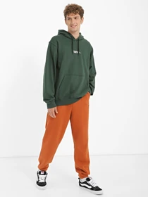 Худи и свитшоты Vans Mountain View модель VN0008H4BD61 Фото