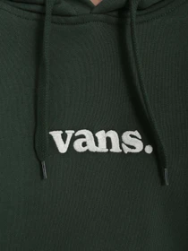 Худи и свитшоты Vans Mountain View модель VN0008H4BD61 Фото
