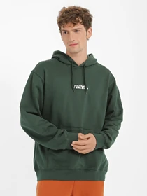 Худи и свитшоты Vans Mountain View модель VN0008H4BD61 Фото