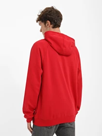 Худи и свитшоты Vans Versa Standard модель VN0A49SN14A1 Фото