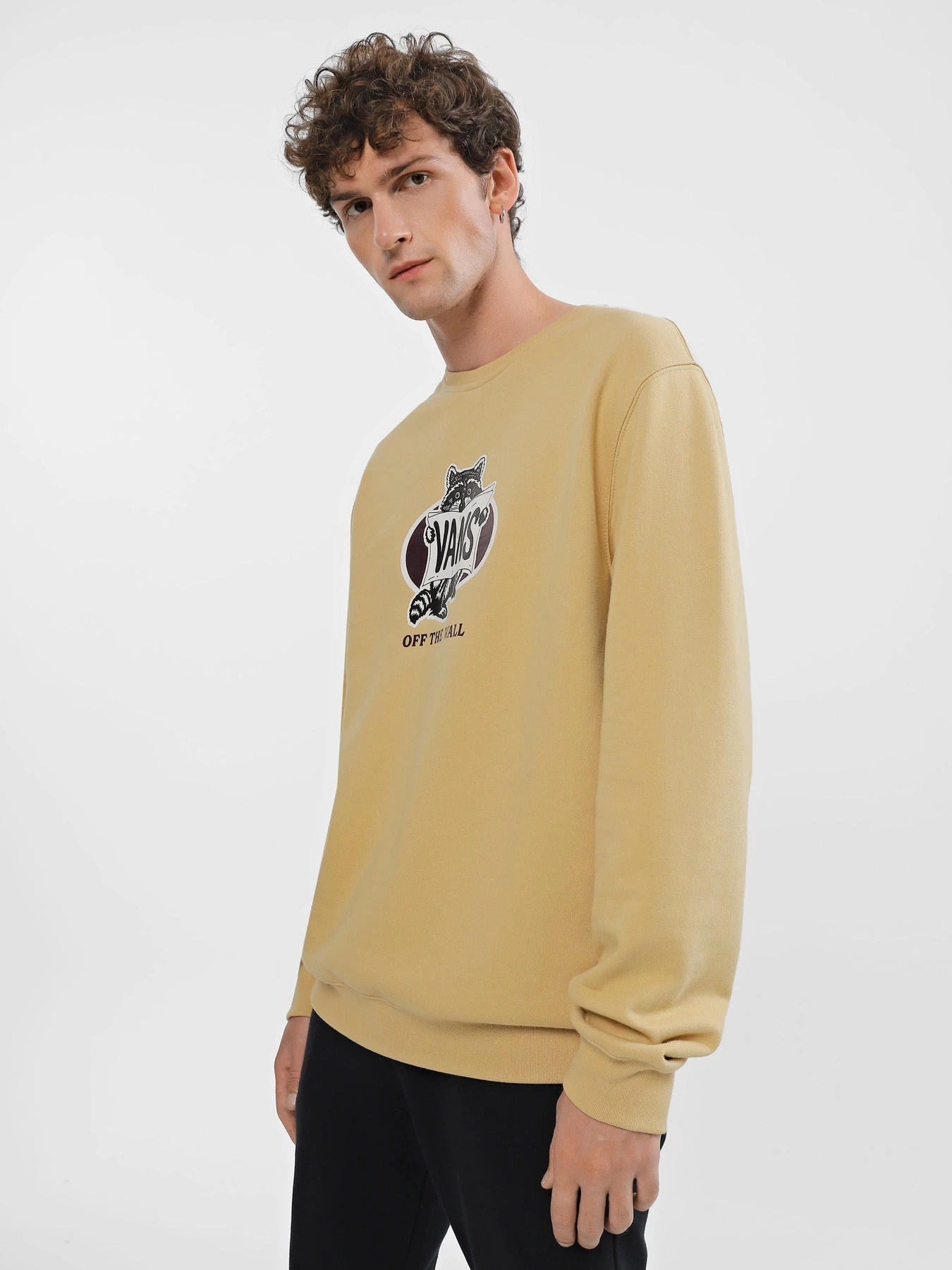 Худи и свитшоты Vans Racks Crew TAOS модель VN0008HVYUU1 Худи и свитшоты Vans Racks Crew TAOS модель VN0008HVYUU1 Фото