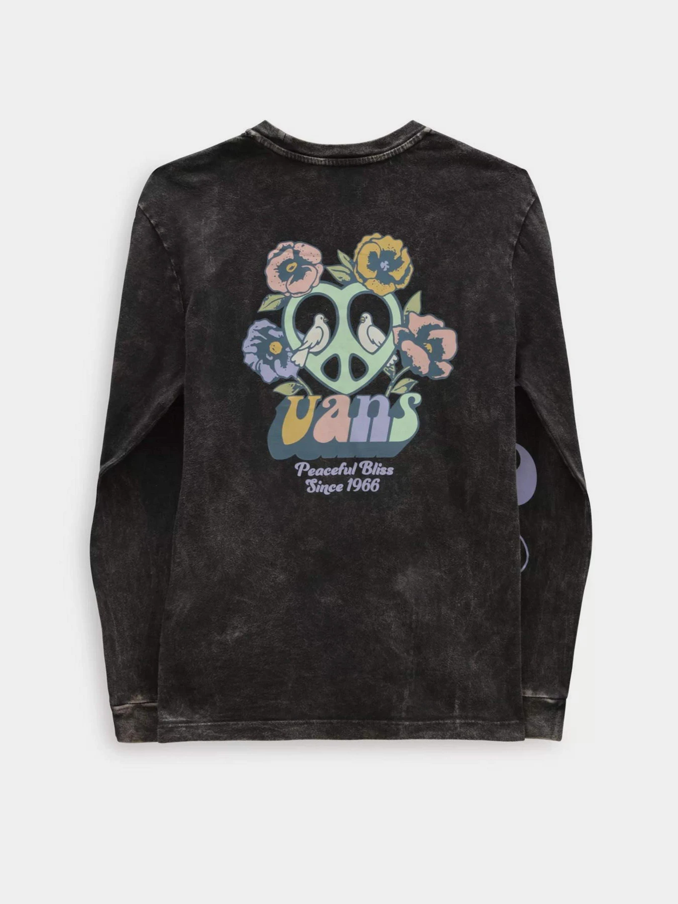 Худі та світшоти Vans BLISS 66 BFF модель VN000AD1BLK1 Худі та світшоти Vans BLISS 66 BFF модель VN000AD1BLK1 Фото