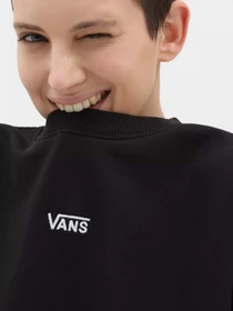 Худі та світшоти Vans Flying V модель VN0A7RMBBLK1 Фото