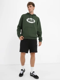 Худі та світшоти Vans Broken V Po Fleece модель VN000H5TBD61 Фото