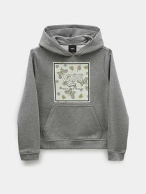 Худі та світшоти Vans Butterfly Floral Box модель VN00077UGRH1 Фото