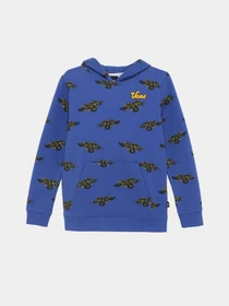 Худі та світшоти Vans Gnardragon Po модель VN00087N7WM1 Фото