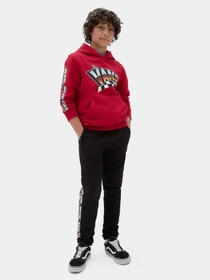 Худі та світшоти Vans Hole Shot модель VN00087W14A1 Фото