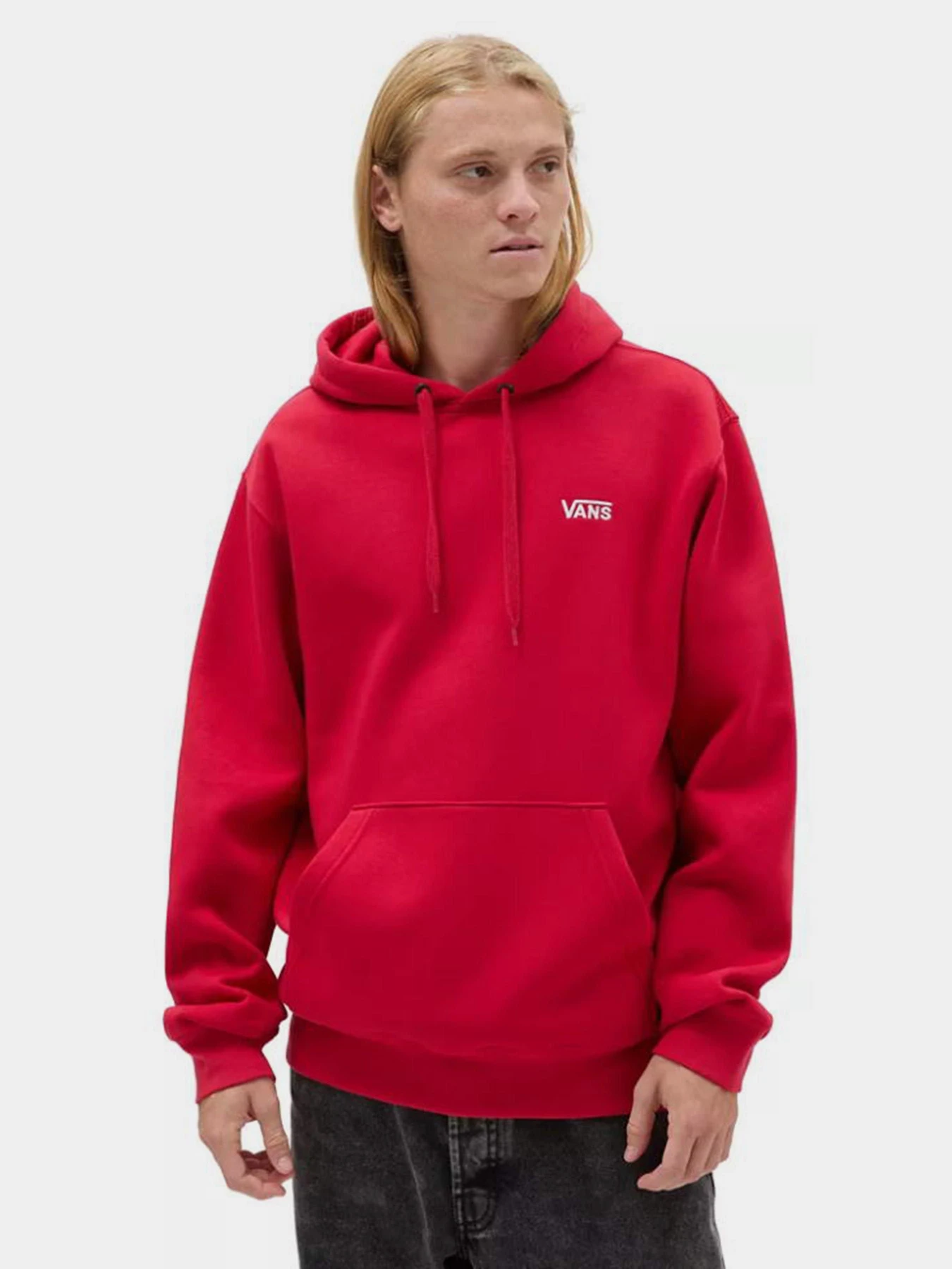 Худи и свитшоты Vans Core Basic модель VN0A7YDV14A1 Худи и свитшоты Vans Core Basic модель VN0A7YDV14A1 Фото