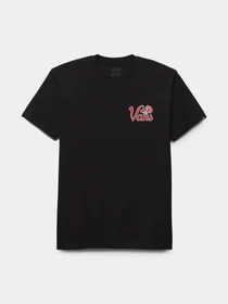 Футболки и поло Vans Pasa модель VN000F3XBLK1 Фото