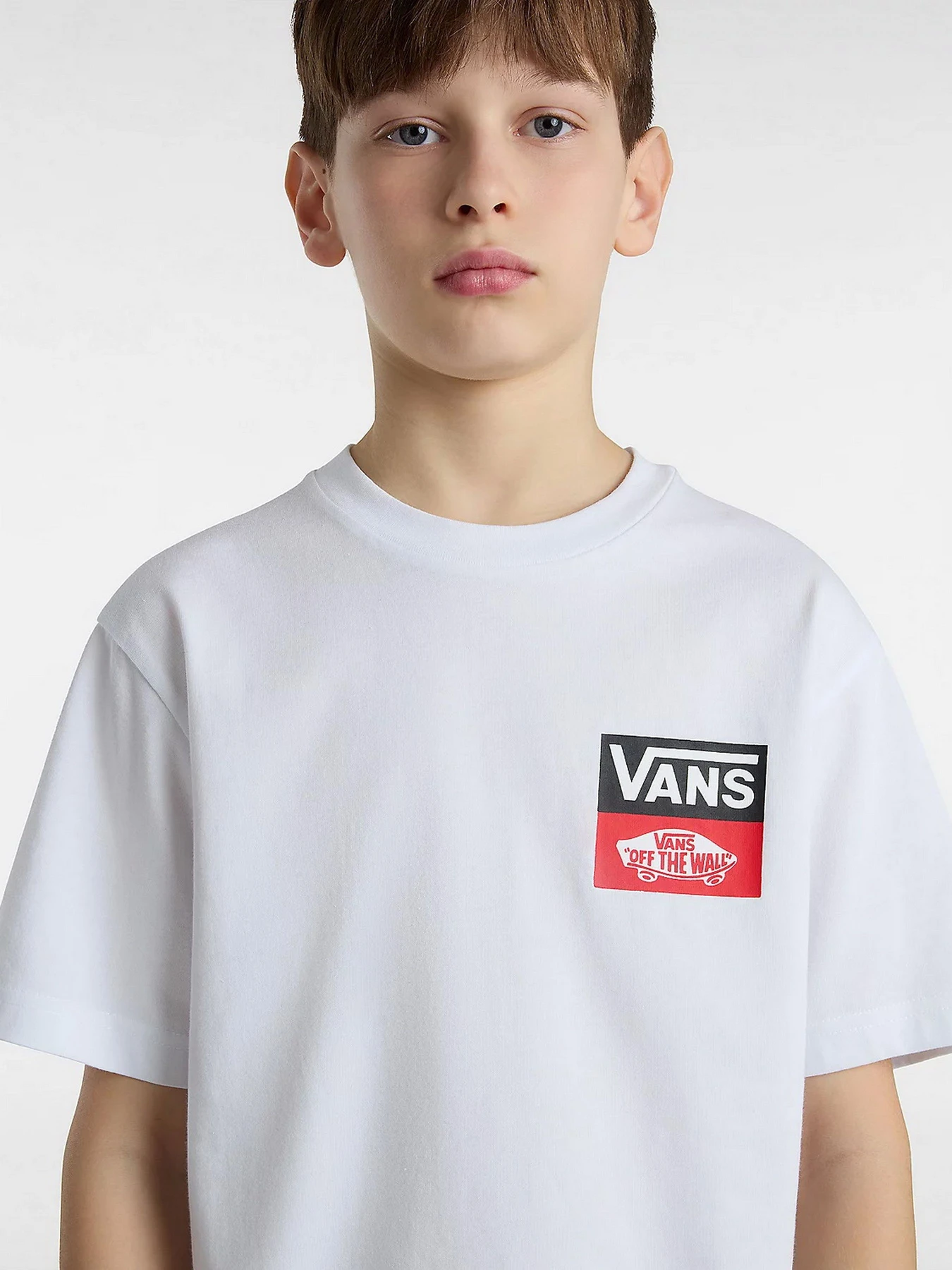 Футболки и поло Vans OG Logo модель VN000GDGWHT1 Футболки и поло Vans OG Logo модель VN000GDGWHT1 Фото