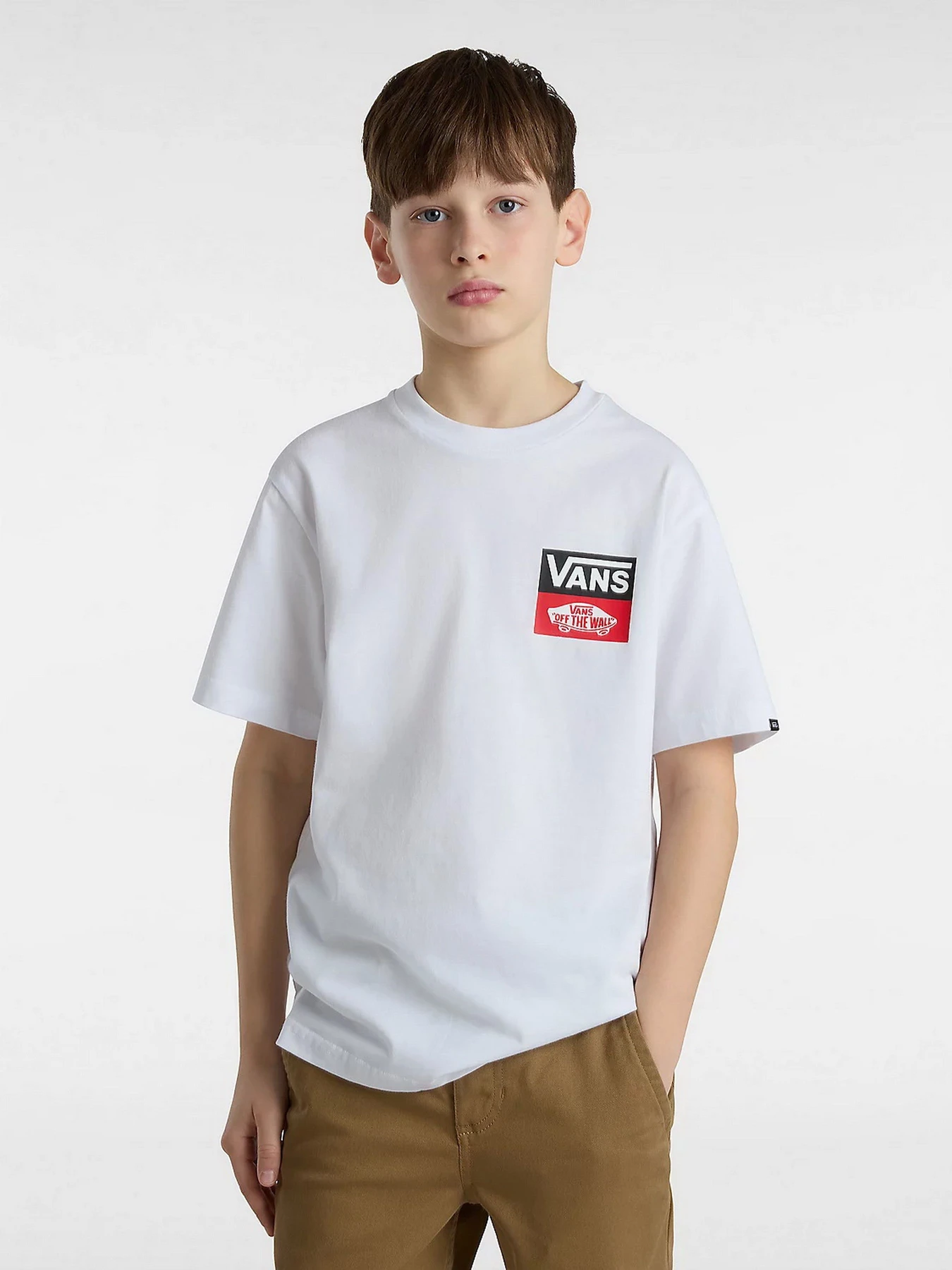 Футболки и поло Vans OG Logo модель VN000GDGWHT1 Футболки и поло Vans OG Logo модель VN000GDGWHT1 Фото