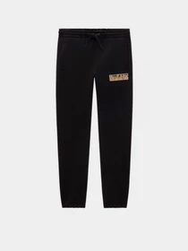 Штани Vans Digi Flame модель VN000GCPBLK1 Фото