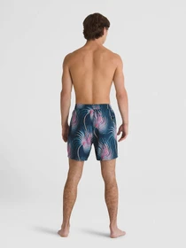 Шорти Vans Primary Print Elastic 17 Boardshorts модель VN0008KUCZO1 Фото