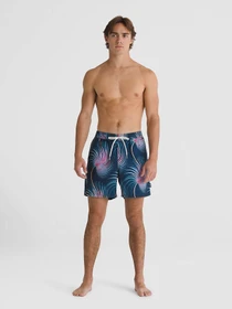 Шорти Vans Primary Print Elastic 17 Boardshorts модель VN0008KUCZO1 Фото