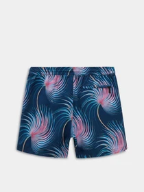 Шорти Vans Primary Print Elastic 17 Boardshorts модель VN0008KUCZO1 Фото