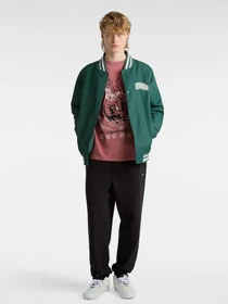 Худи и свитшоты Vans Lucky Streak модель VN000G4YCHO1 Фото