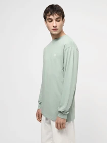 Худи и свитшоты Vans Left Chest Hit модель VN0A49LCD1L1 Фото