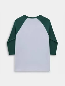 Худи и свитшоты Vans Mn Classic Raglan модель VN0002QQCZY1 Фото