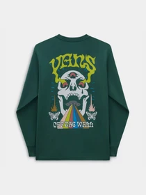 Худі та світшоти Vans Skull Saucer Ls модель VN000G4CBDX1 Фото