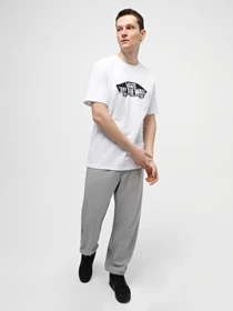 Штани Vans Original Standarts Loose Fleece модель VN000G6H02F1 Фото