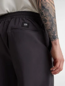 Брюки Vans Range модель VN000G6C1O71 Фото