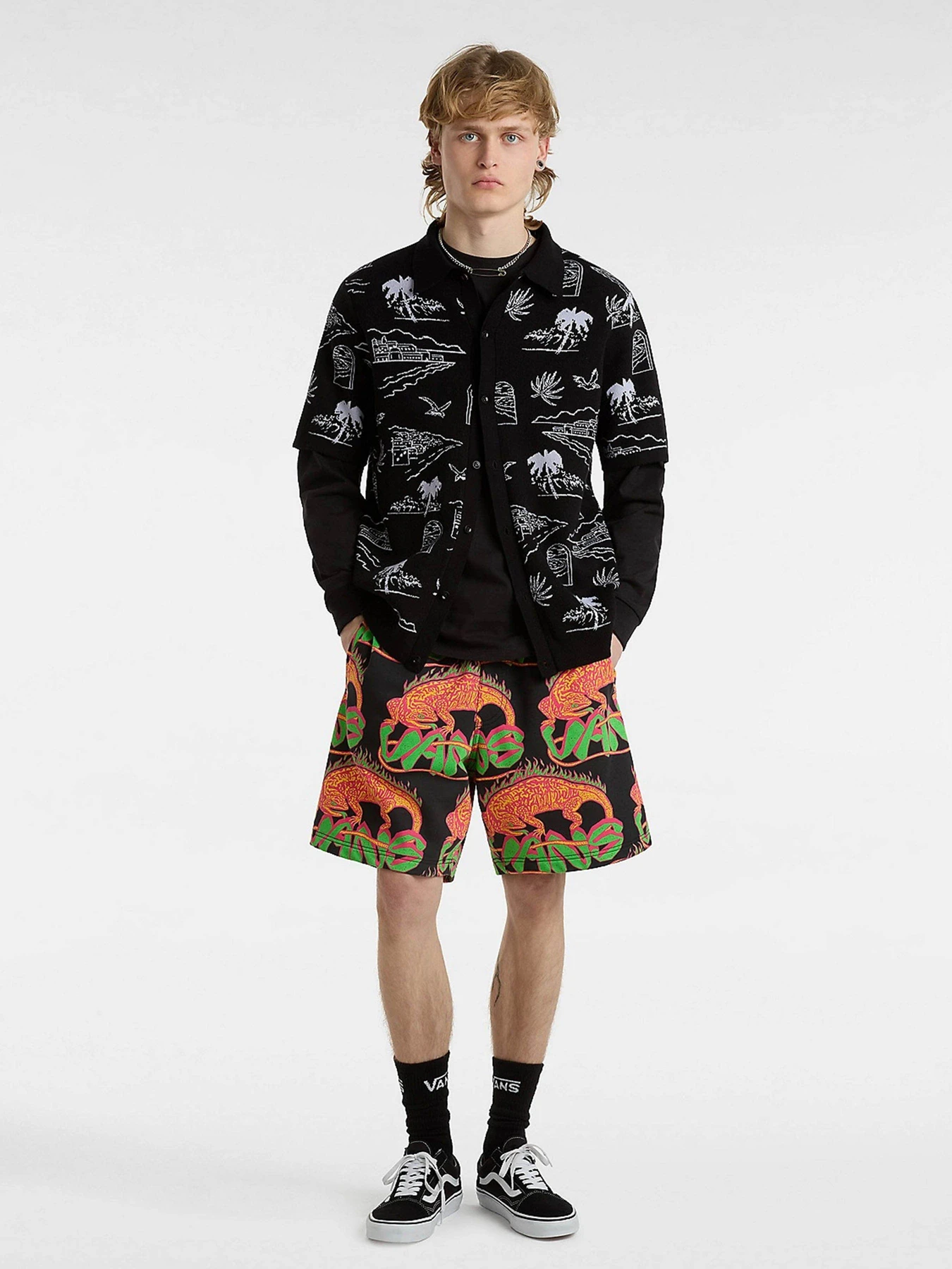 Шорти Vans Chameleon Loose Fleece модель VN000G72BLK1 Фото