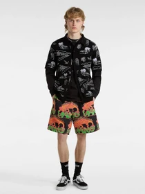 Шорти Vans Chameleon Loose Fleece модель VN000G72BLK1 Фото