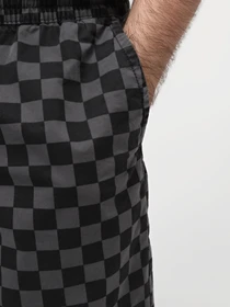 Шорти Vans Range Relaxed Elastic модель VN0A5FKDKOU1 Фото