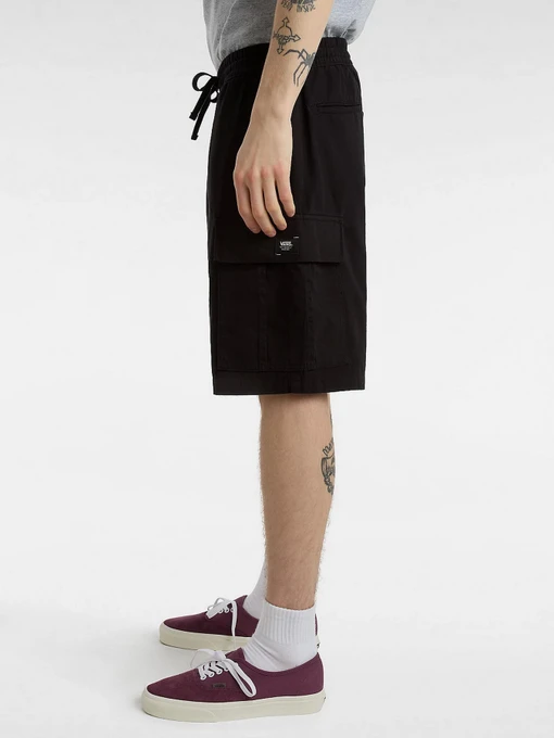 Бавовняні Чоловічі Повсякденні шорти Vans Range Loose фото 3