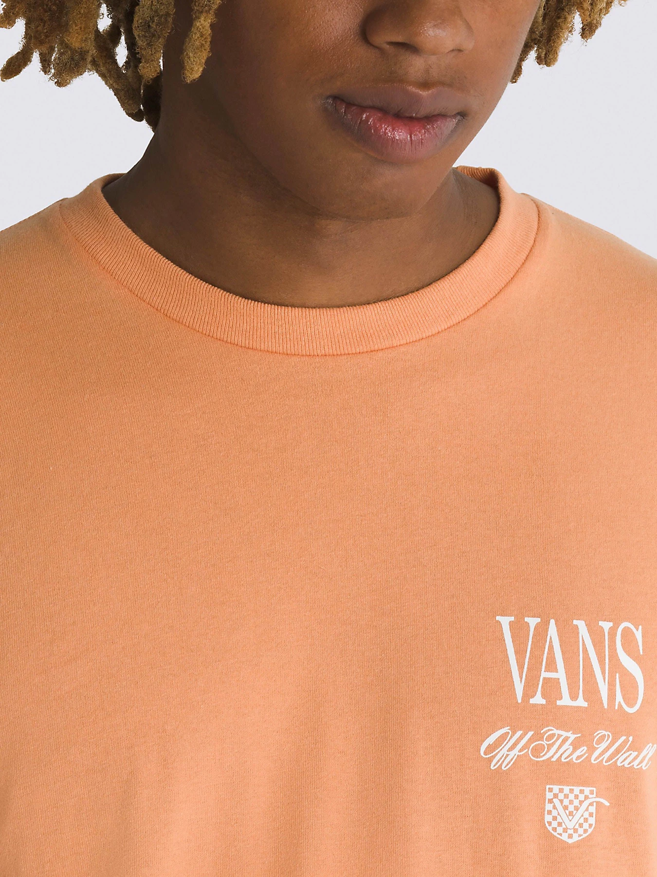 Футболки и поло Vans Holmdel модель VN000G5QCR51 Футболки и поло Vans Holmdel модель VN000G5QCR51 Фото