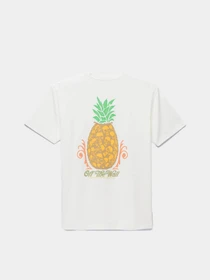 Футболки и поло Vans Pineapple Skull модель VN000G5HFS81 Фото