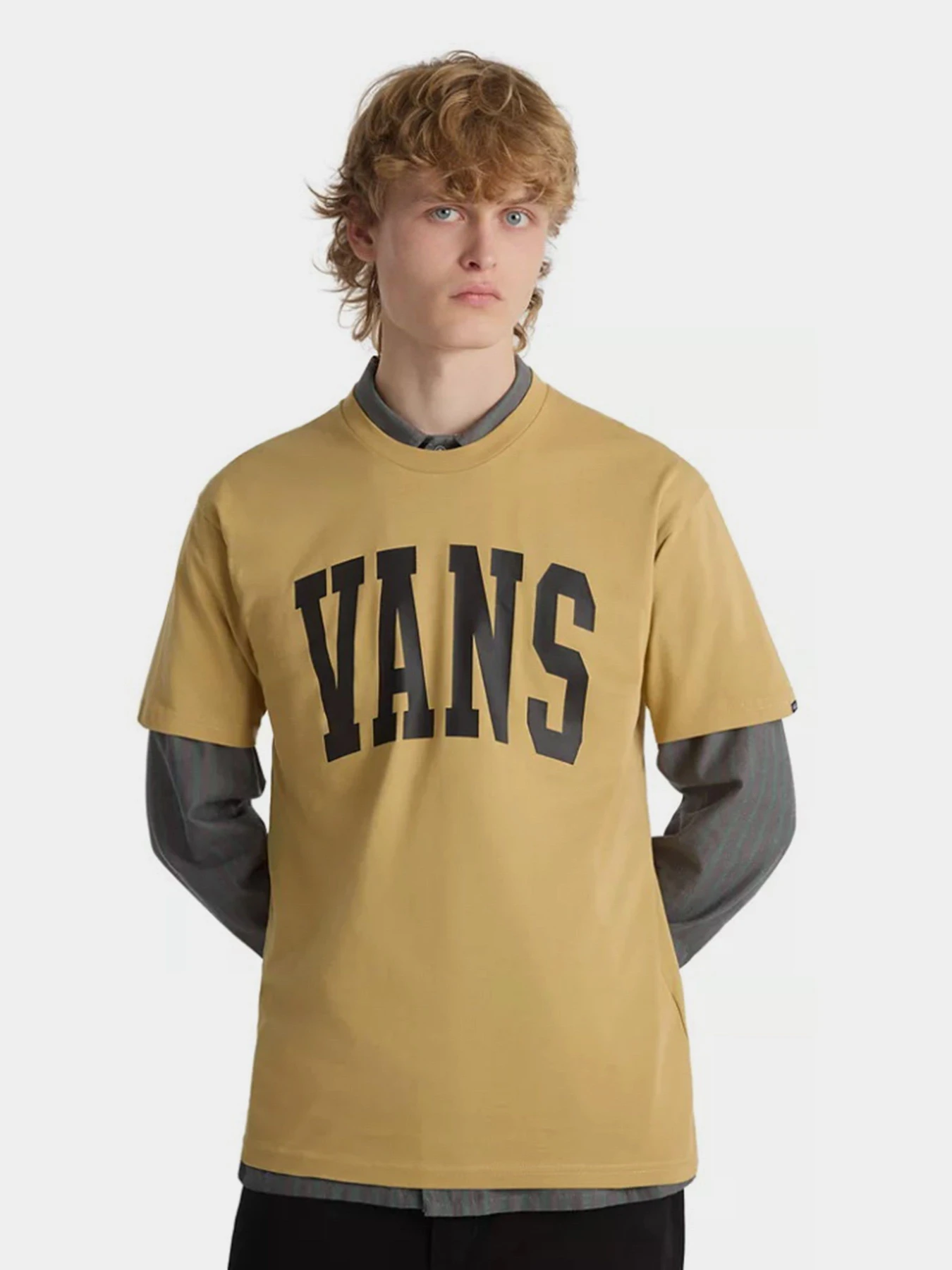 Футболки и поло Vans Arched Ss модель VN000G475QJ1 Футболки и поло Vans Arched Ss модель VN000G475QJ1 Фото