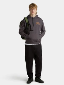 Худи и свитшоты Vans Dunton Relaxed Po модель VN000JDS1O71 Фото