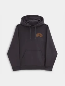 Худи и свитшоты Vans Dunton Relaxed Po модель VN000JDS1O71 Фото