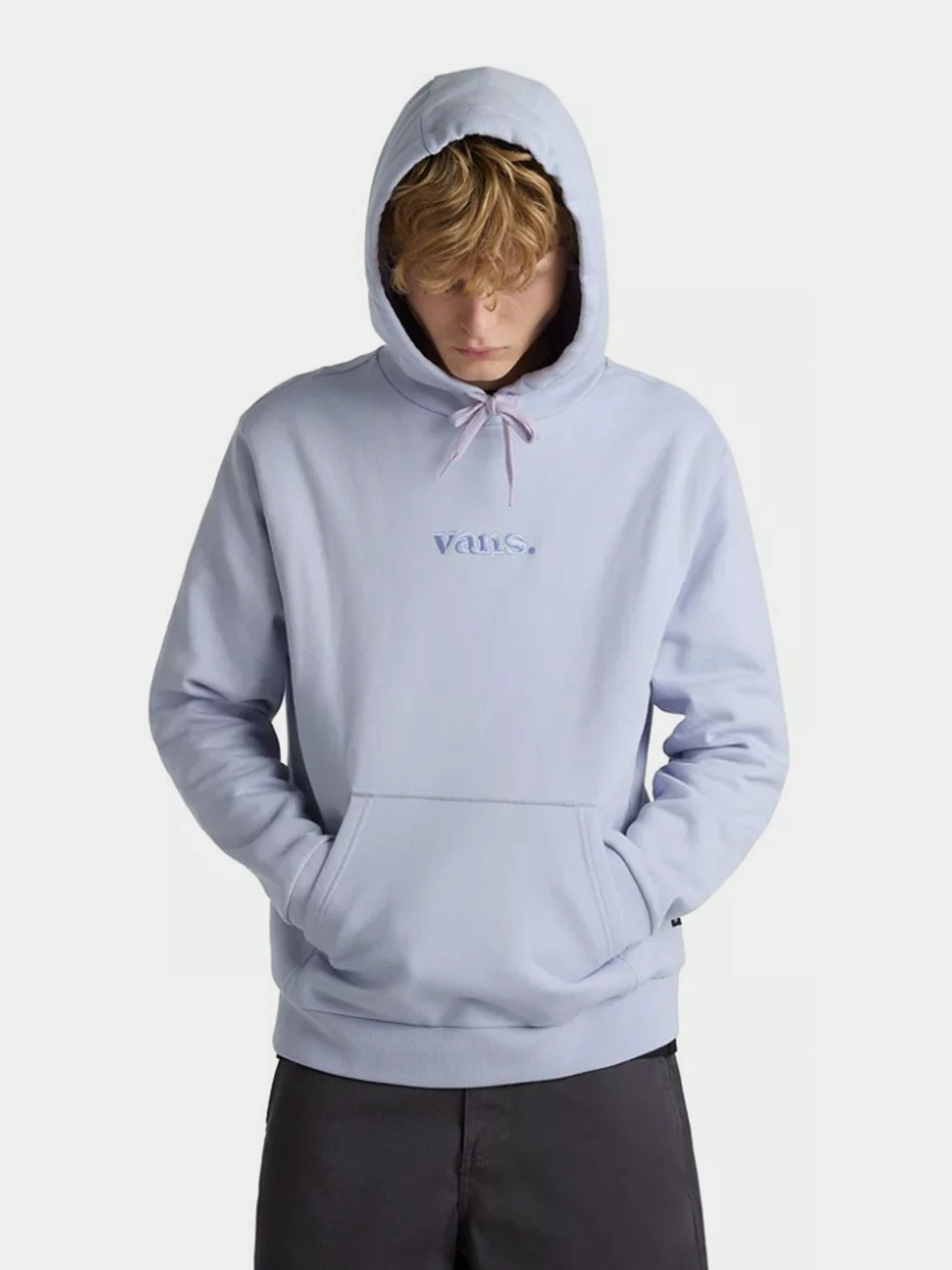 Худи и свитшоты Vans Essential Relaxed модель VN000H8ZCR21 Худи и свитшоты Vans Essential Relaxed модель VN000H8ZCR21 Фото