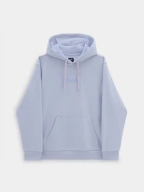 Худи и свитшоты Vans Essential Relaxed модель VN000H8ZCR21 Фото