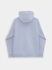 Худи и свитшоты Vans Essential Relaxed модель VN000H8ZCR21 Фото