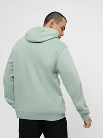 Худі та світшоти Vans Classic Po Hoodie Ii модель VN0A456BCJL1 Фото