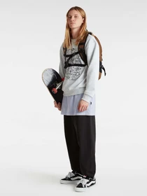 Худи и свитшоты Vans Skool Doodle модель VN000JDT1QI1 Фото